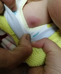 ��������� Ҫ����