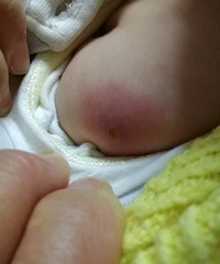 ��������� Ҫ����