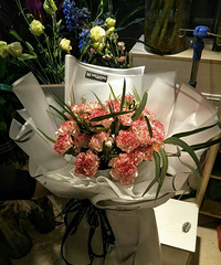 �����죬����Ŷ