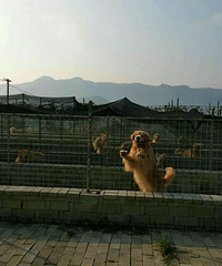 ̨�ݾ���Ȯ��רҵ�������ѵ��