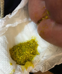 ����20��   ����һ��һ��������