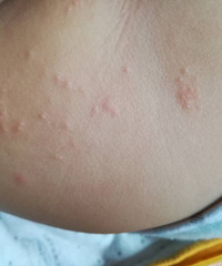 ����ƨ���ϳ��˺ܶ�����