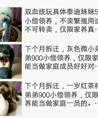 ���в�Ǩ Ȯ��豭Ȯ��̩�ϵ�С������