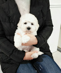 ��������ɫ����