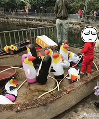 �������ɽ����԰�����ˣ��������������ˡ���