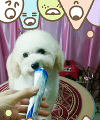 ˫Ѫͳ̩������500С������