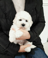 ����̩�ϱ��ܳ���