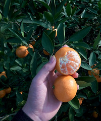 ӿȪ�۽���ʽ�����ˣ�������ժ����ݼ��ͽԿ�Ŷ~~��ƽ��԰