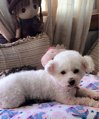 ������ûʱ���չ����������˺ܾã�ʵ������