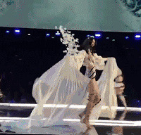 ������Щ��̬����֣�������ˤ���Ĵ��������Ҳ�᷸