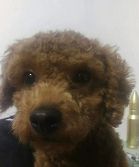 С���ţ����ؼҡ�