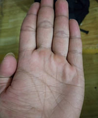 ��������������ҵ�������