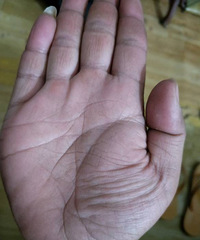 ��������������ҵ�������