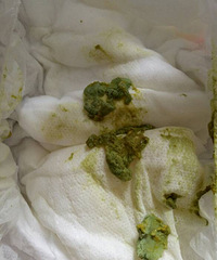 ������ҽ������ҽ�����ұ�����������һ���