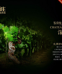 "《葡萄酒倡导家》:新疆——中国真正优秀的葡萄酒产"