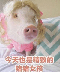 乳房不是你想摸就能摸!小心得了乳腺癌也不知道!