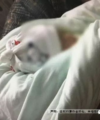 "新生儿查出患有严重的先天性心脏病,父亲有疑问:“产检时做的四