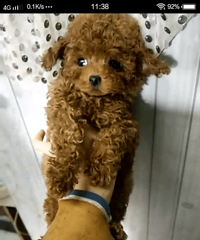 ����̩�����ó��� �ְֲ豭����΢С �۸�����