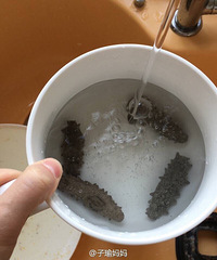 "海参泡发全攻略"