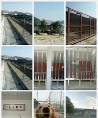 ̨�ݾ���Ȯ��רҵ�������ѵ��