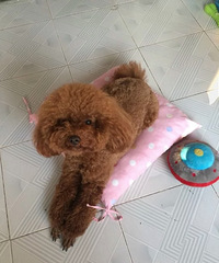 ����������������