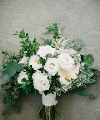 11���ʺ϶������������� �������������̫������