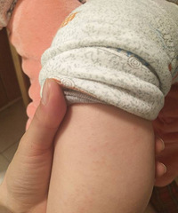 С�����ϳ���һ���� һץ����