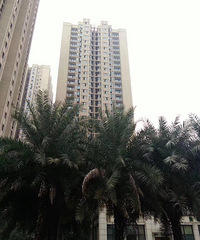 南坪住宅小户型可以按揭了 住宅性质 首付14万起