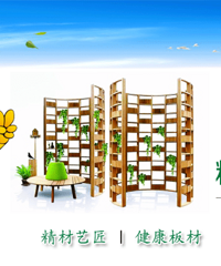 "净醛生态板让家更安“醛”|中国板材品牌精材艺匠"