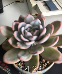 �����϶���