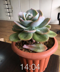 ����