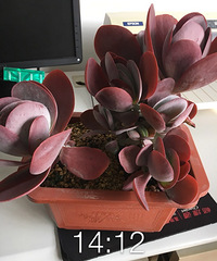 ����