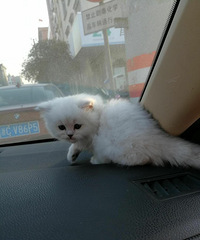 ����èת��