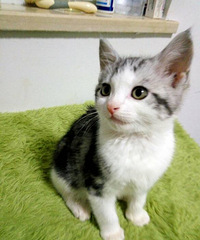 ů�������ߵȽӻؼ�