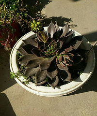 ����������