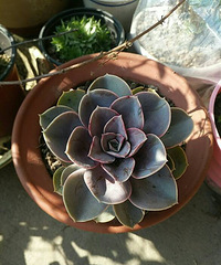 ����������