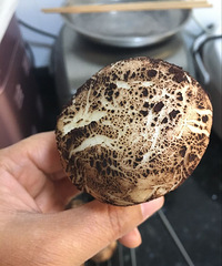 "以假乱真的香菇包"