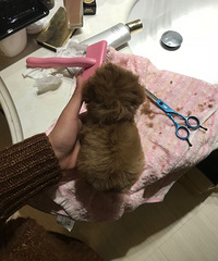 ΢Сĸ���һö����������������̫С�ˣ���