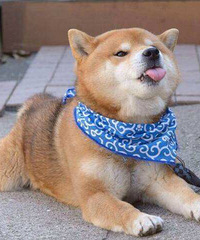 2017�����ɶ�