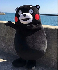 ���ܱ��ܣ�