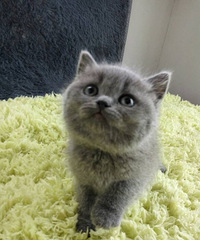 ���������ߵȽӻؼ�