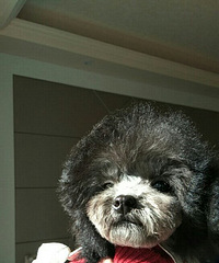 ̩�����¼�