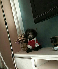 ̩�����¼�