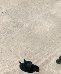 ���ж���