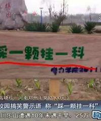 "这所大学火了!因女生人数多 男厕被女生\""