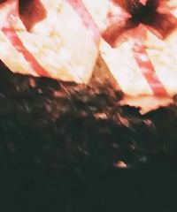 ������ʥ��