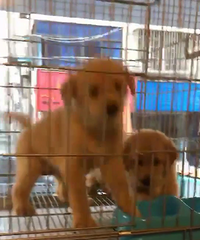 ��ëһ��һĸ ����1000