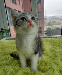 ů�������ߵ���������