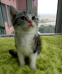 ů�������ߵ���������