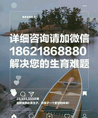 "上海客人赴美生子诚实签过海关"